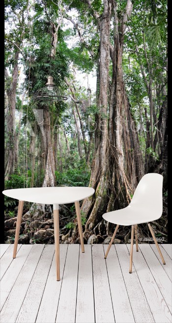 Picture of Kstenregenwald in Costa Rica